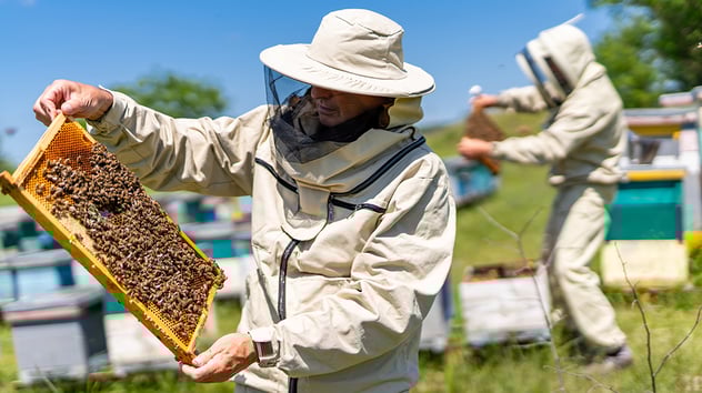 Bee_Keepers_672700525
